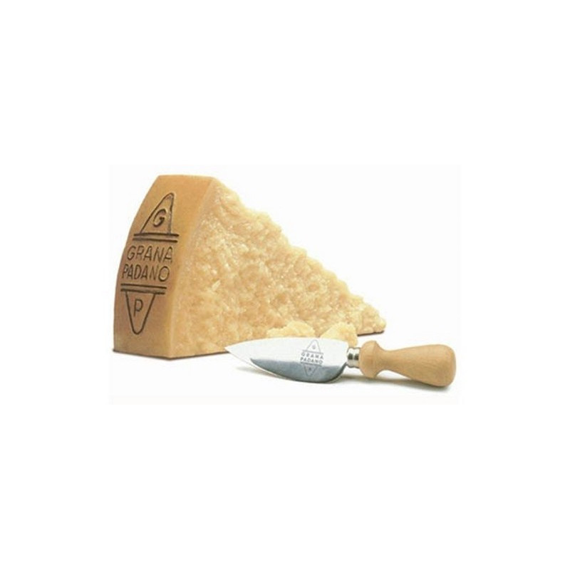 Grana Padano 24 mes. zrejúci syr