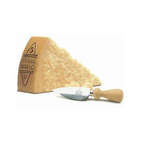 Grana Padano 24 mes. zrejúci syr